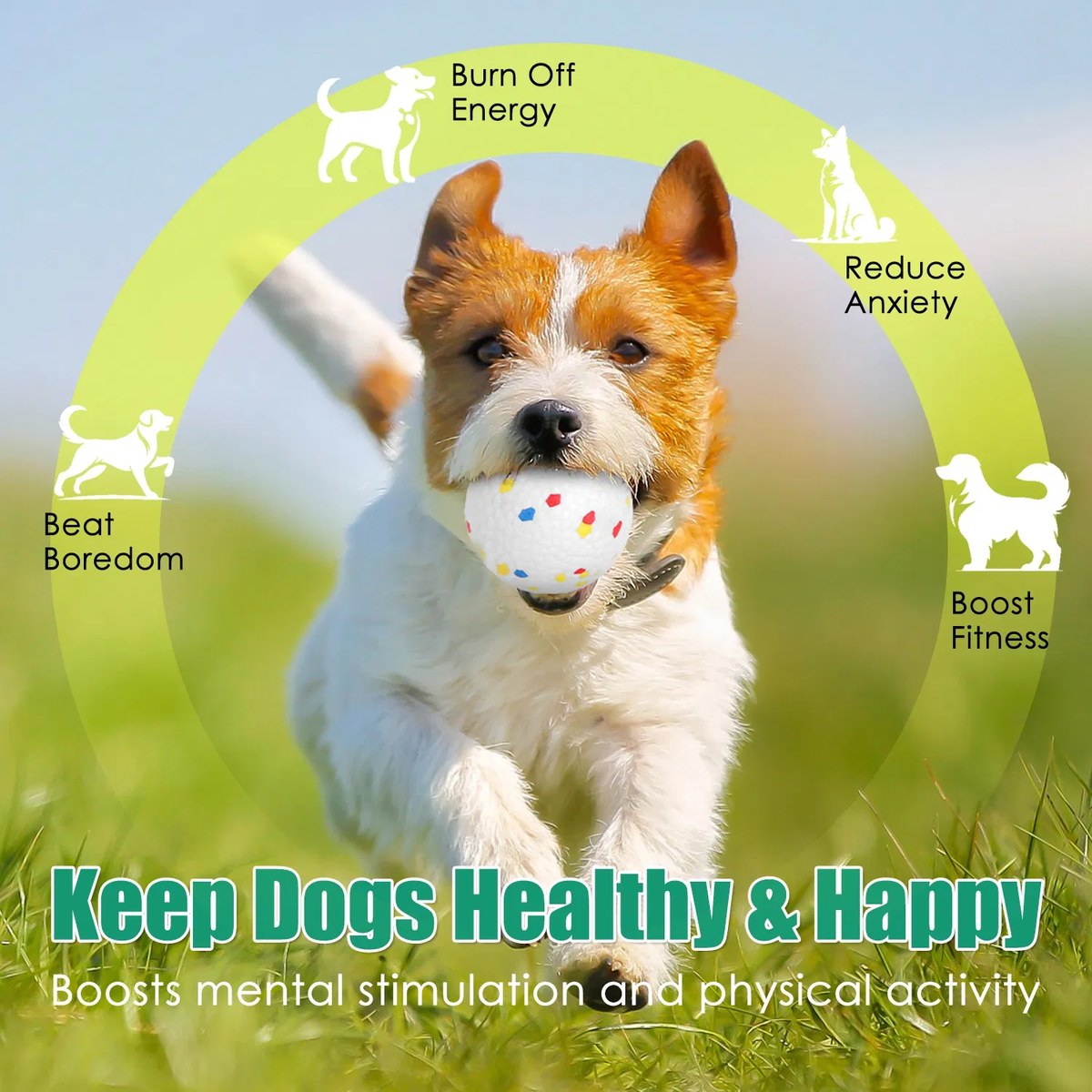 6pcs 2.3" dog balls tear-resistant washable etpu dog chew toys for