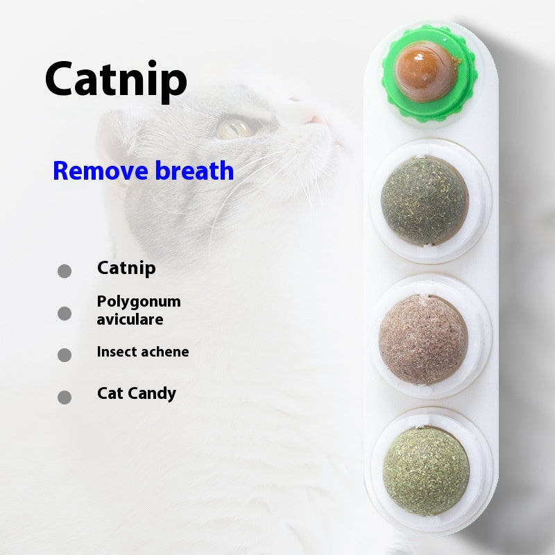 Catnip and silver vine rotating wall toy for cats