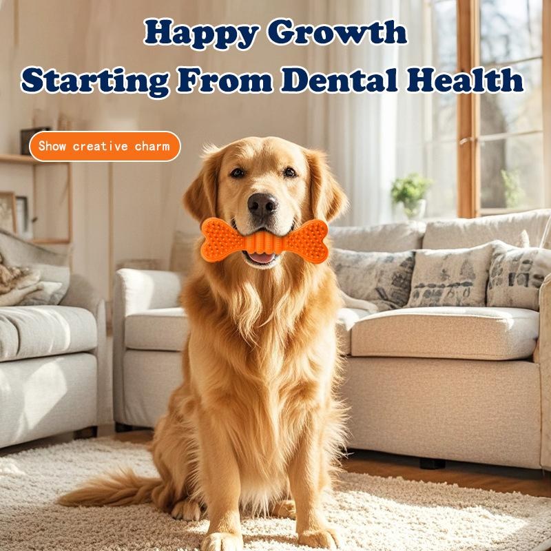 dog chew toys two-pack dog toothbrush care cleaning stick toothbrush