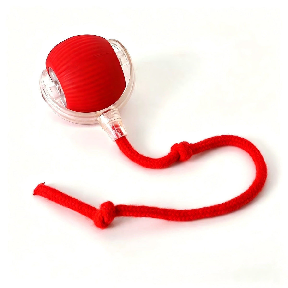 cat yarn ball toy with pull cord - clear ball with red yarn inside