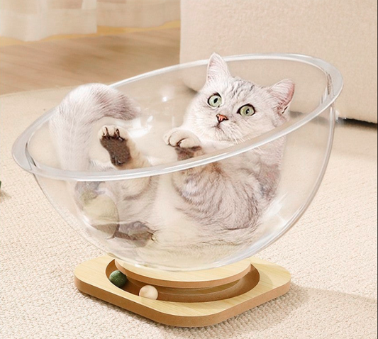 Space Capsule Cat Bed
