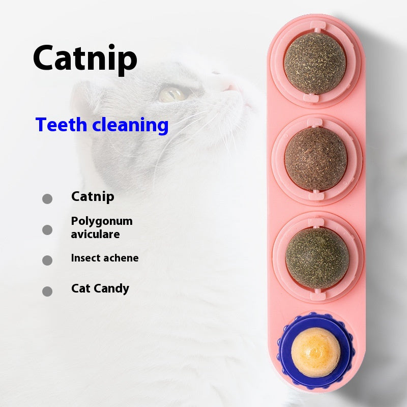 Catnip and silver vine rotating wall toy for cats
