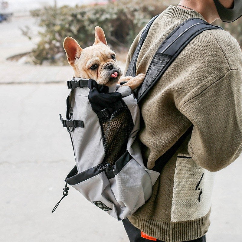 dog carrier backpack for small dogs with breathable mesh panels