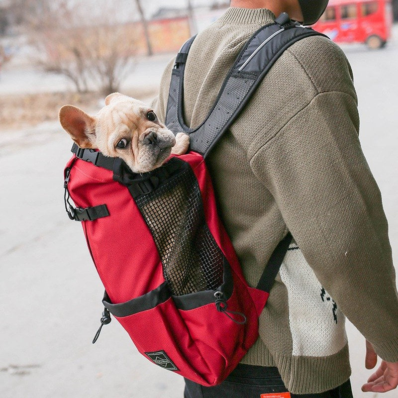 dog carrier backpack for small dogs with breathable mesh panels