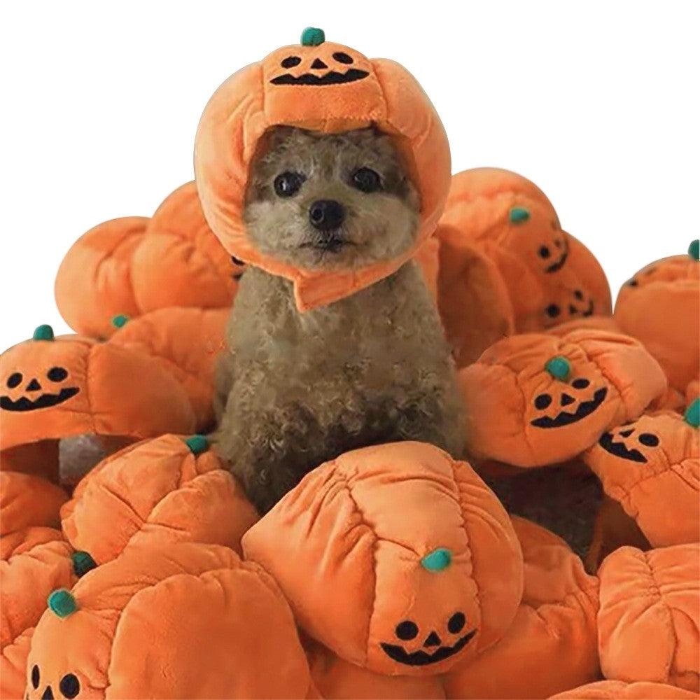 Halloween knitted pumpkin hat for cats and small dogs, pet headwear