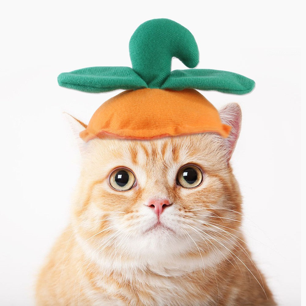 Halloween knitted pumpkin hat for cats and small dogs, pet headwear
