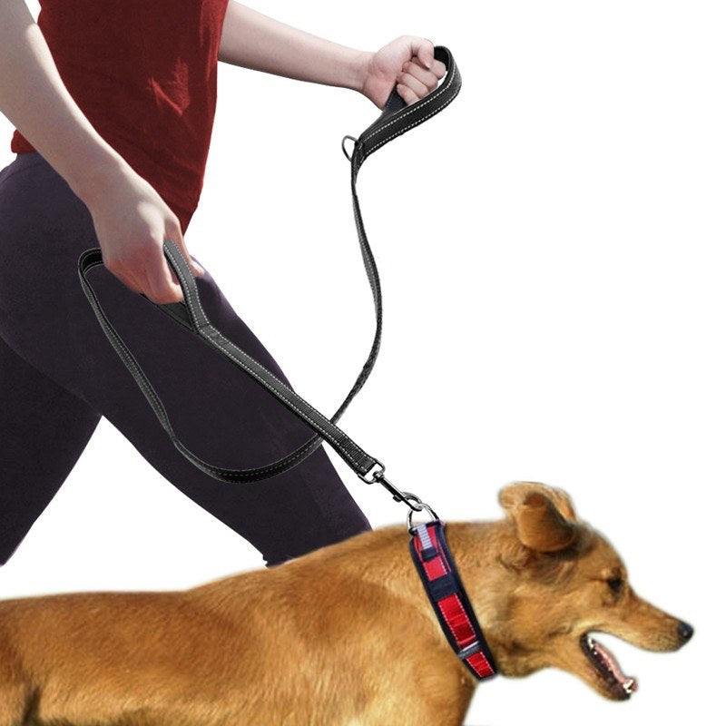 pet double handle pull leash