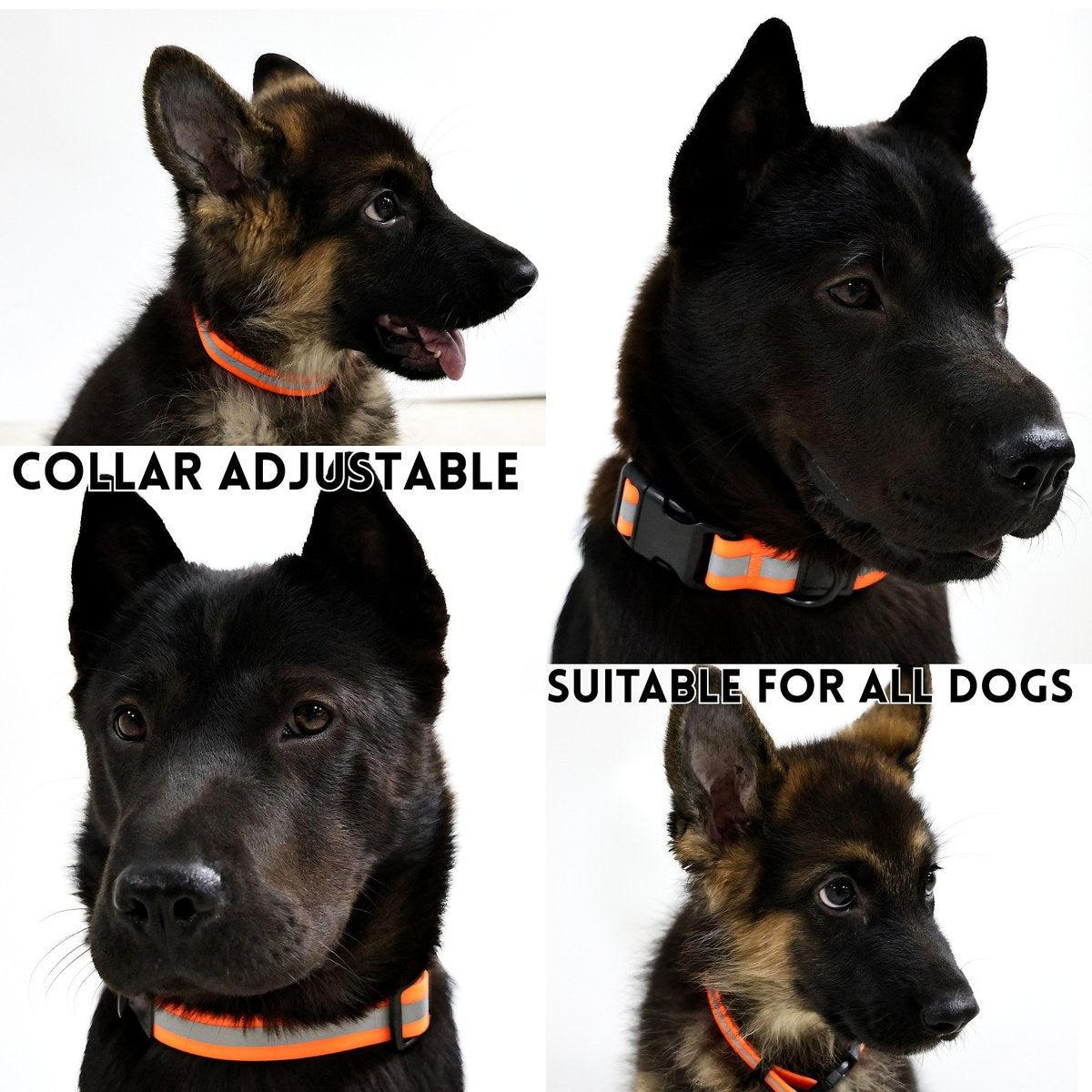 reflective leash set it can reflect light sources effectively enhancing