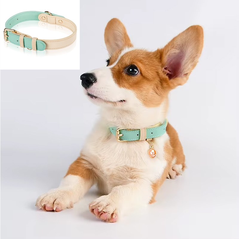s m l dog collar, leather dog collar, for small, medium, and large
