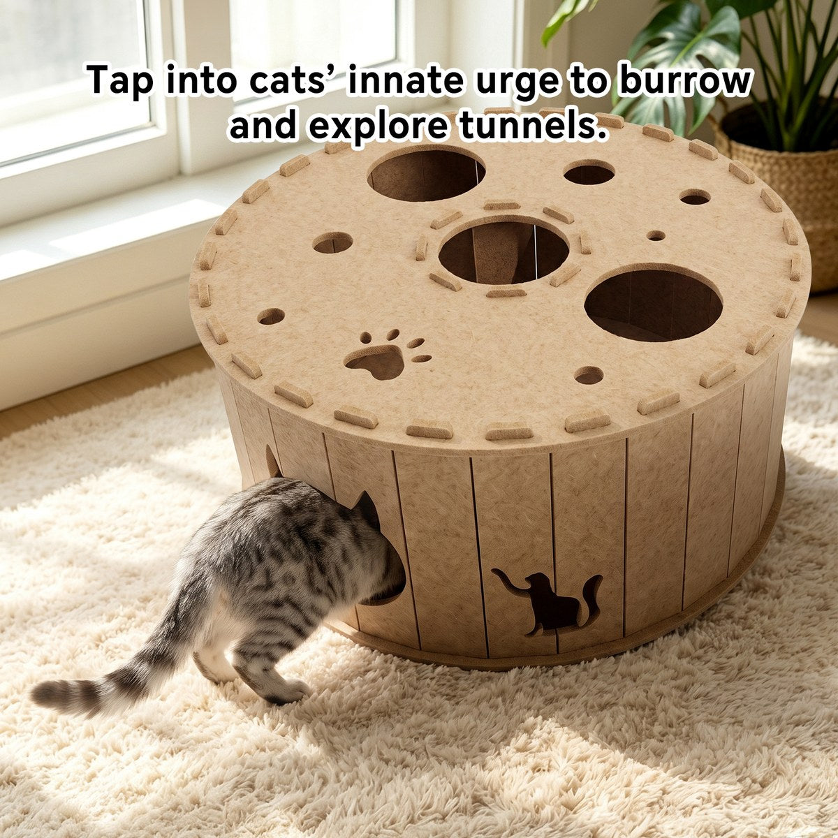 tire tunnel cat den